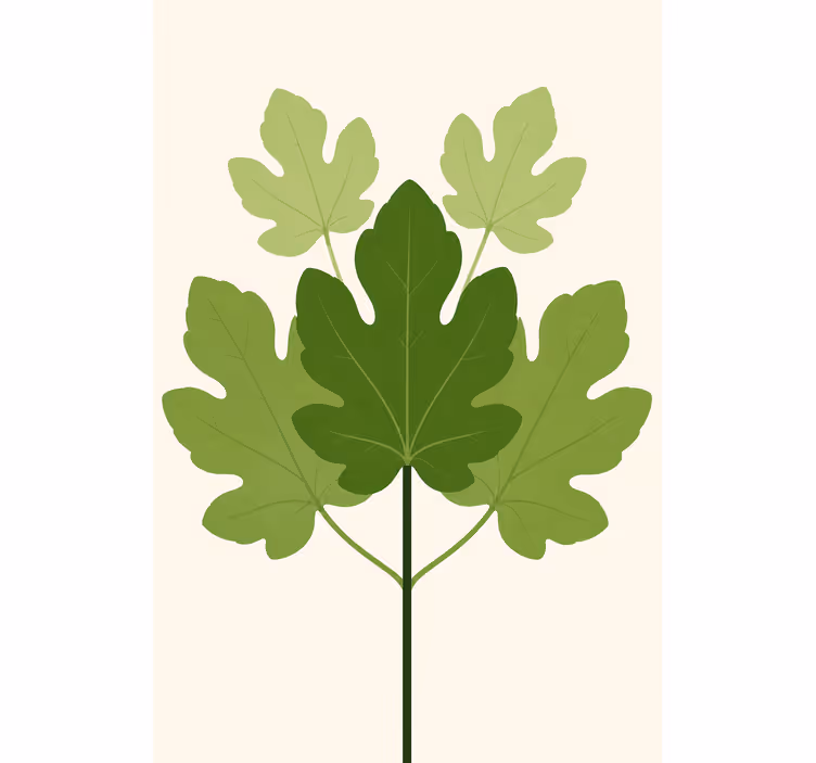 Rollo fenster blumen und pflanzen figuera - TenStickers