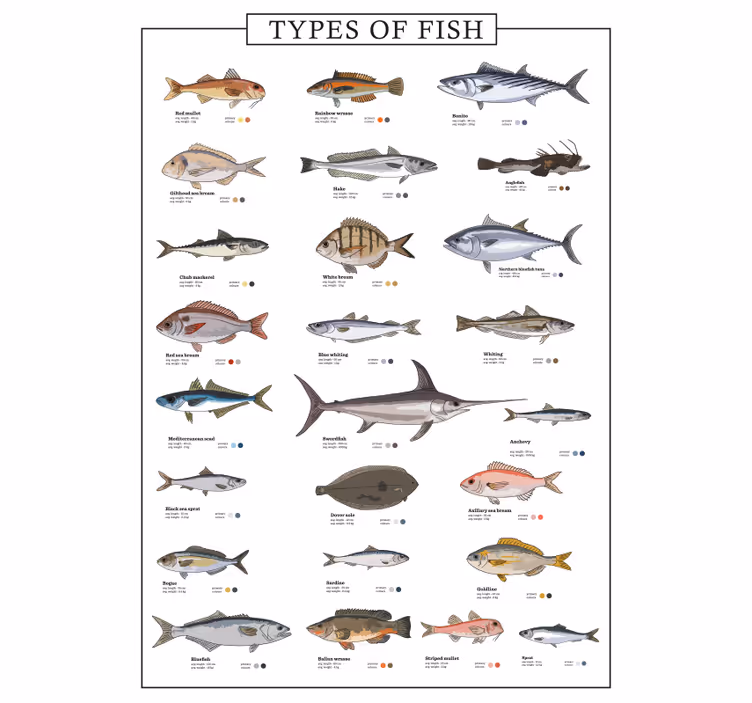 Küchenfenster rollo mit fischen-motiv - TenStickers
