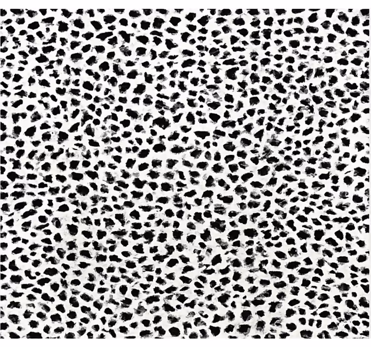 Rollo fenster schwarz mit monochromem leopardenmuster - TenStickers