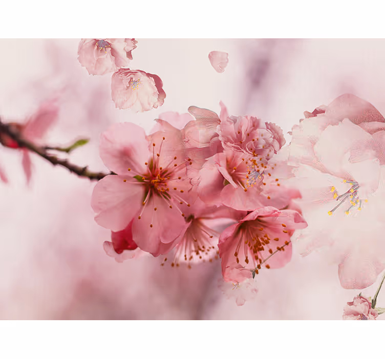 Rollo fenster badezimmer badblumen - TenStickers