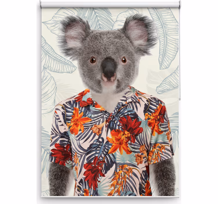 Rollo fenster jugendzimmer elegant koala - TenStickers