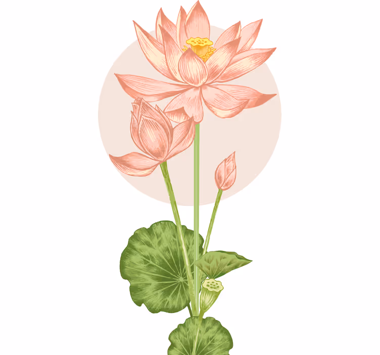 Rollo fenster blumen in pinken farben - TenStickers