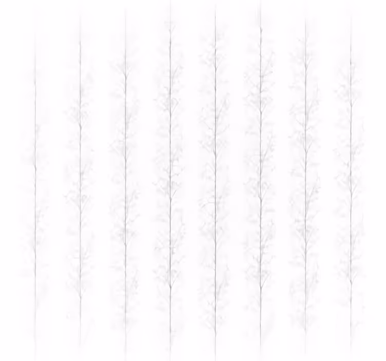 Rollo fenster weiß mit sichtschutz bäume - TenStickers