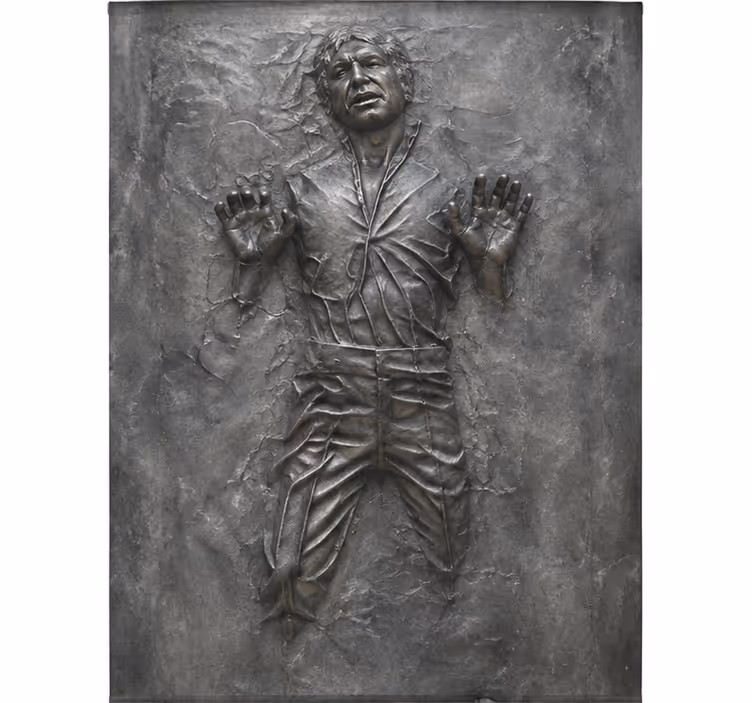 Rollo fenster filme aufkleber han solo carbonit - TenStickers
