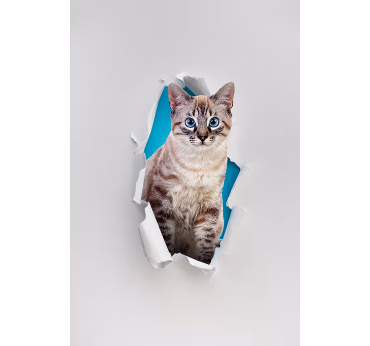 Katze verschiedene tierrollo - TenStickers