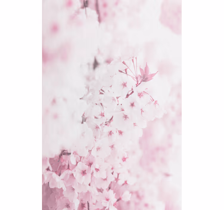 Rollo Fenster Blumen und Pflanzen zarte rosa blüten - TenStickers