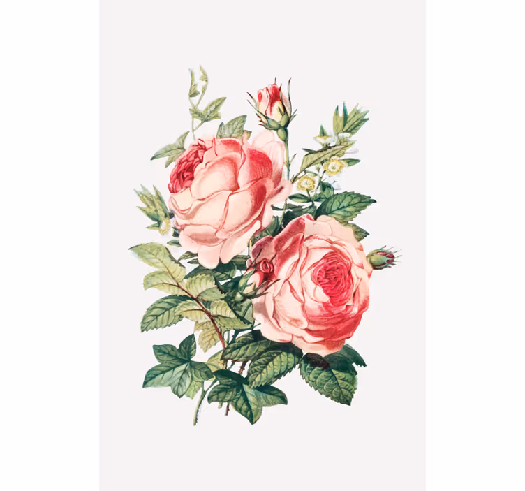 Rollo Fenster Blumen und Pflanzen romantische rosenblüten - TenStickers