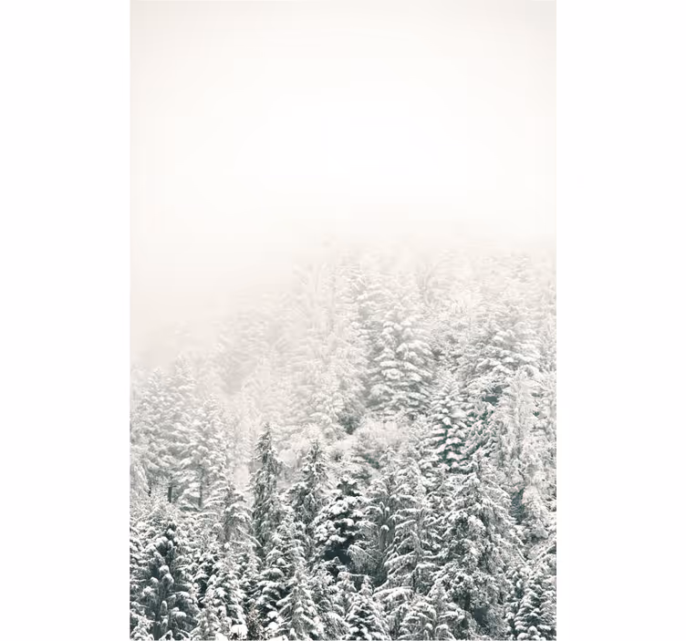 Rollo Fenster Bäume schneebedeckte kiefern - TenStickers
