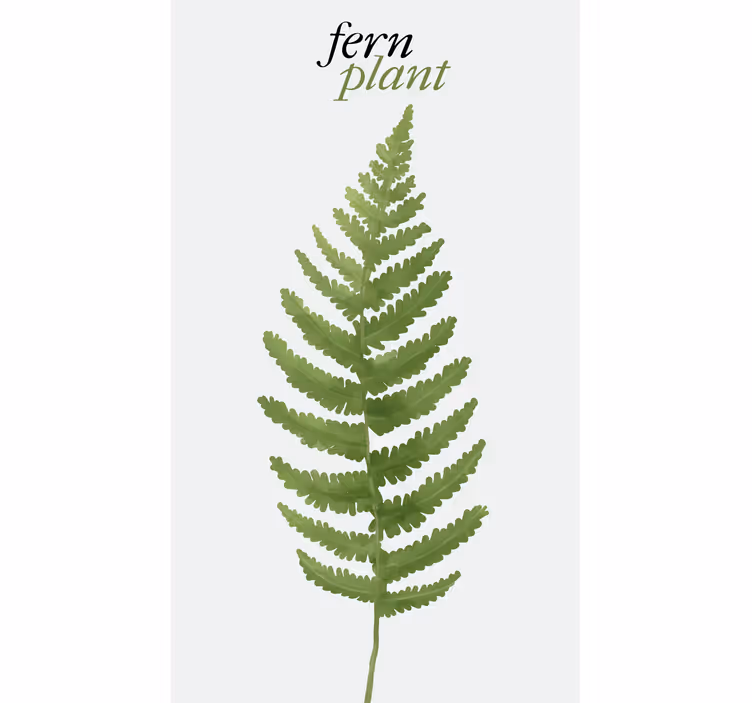 Rollo fenster blumen und pflanzen ferngrüne pflanze - TenStickers