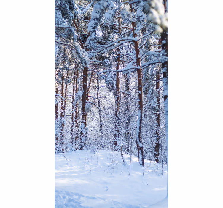 Rollo Fenster Bäume verschneiter kiefernwald - TenStickers