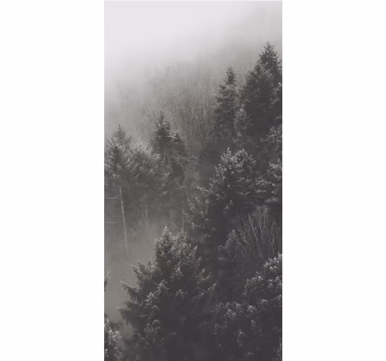 Rollo Fenster Bäume graue waldsilhouette - TenStickers