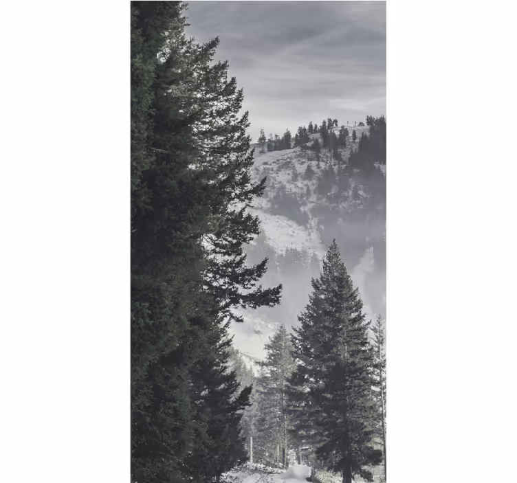 Rollo Fenster Bäume majestätische bergkiefern - TenStickers