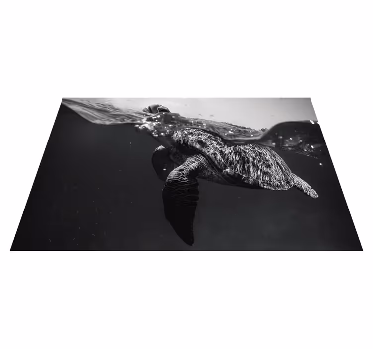 Tischset schildkröten unterwasserszene - TenStickers