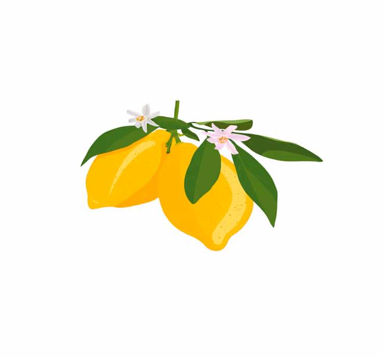 Tischsets originell zitronenbaum illustration - TenStickers