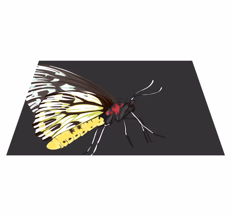 Tischsets originell mit bunter schmetterlingsillustration - TenStickers