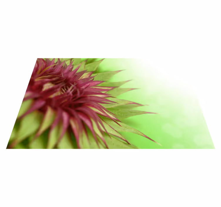 Tischset elegant Distel Design - TenStickers