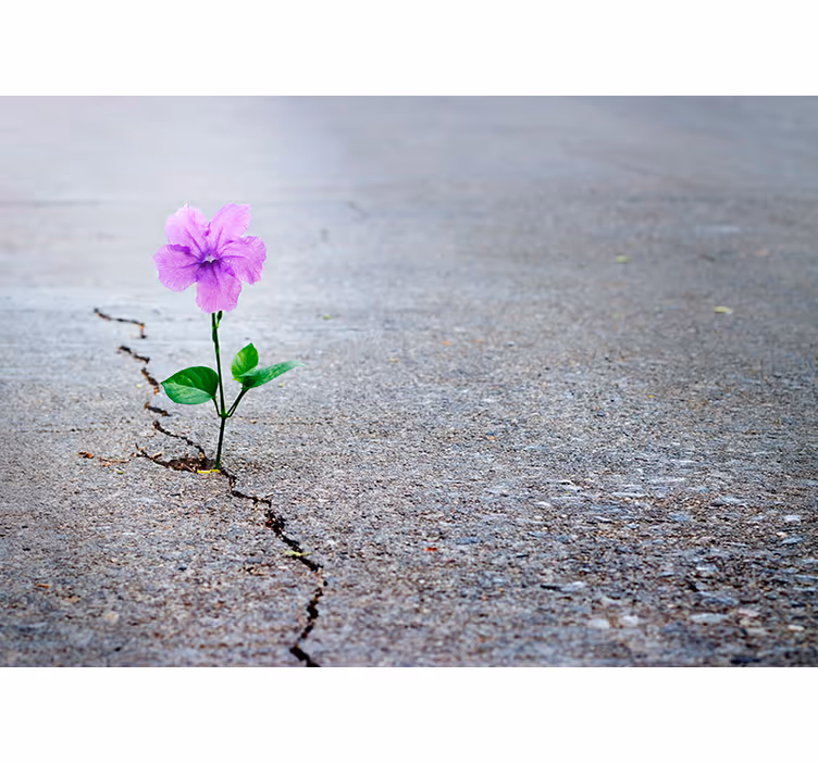 Wandtapete Blume 3D - TenStickers