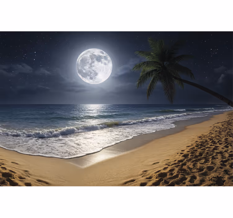 Fototapete meer vollmond ozean - TenStickers