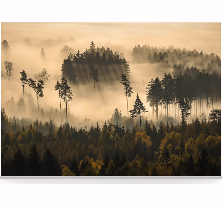 Tapete wald im ätherischen morgennebel - TenStickers