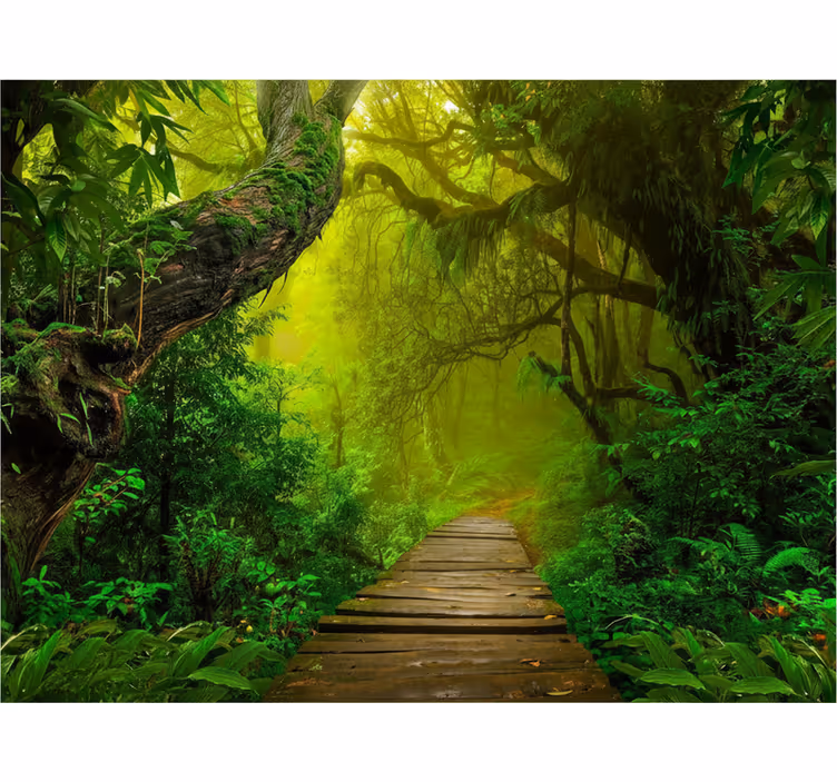 Tapete wald mystischer waldweg - TenStickers