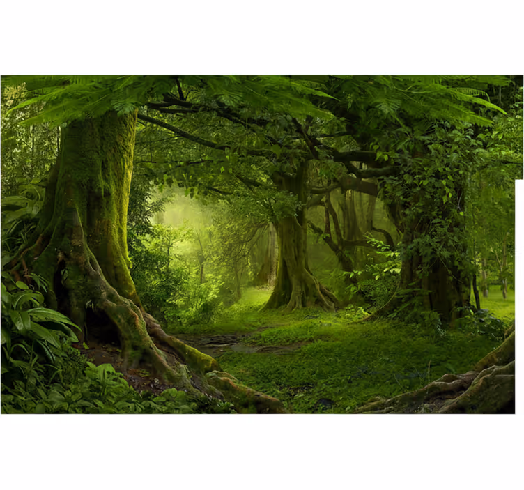 Tapete wald üppige waldlandschaft - TenStickers