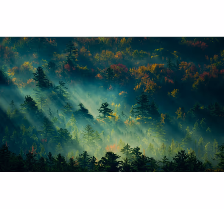 Tapete wald der stimmungsvolle wald - TenStickers