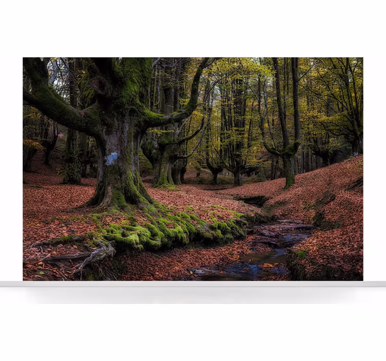 Tapete wald verzauberter herbstwald - TenStickers