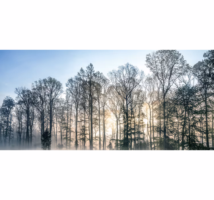 Tapete wald nebeliger morgenwiese - TenStickers