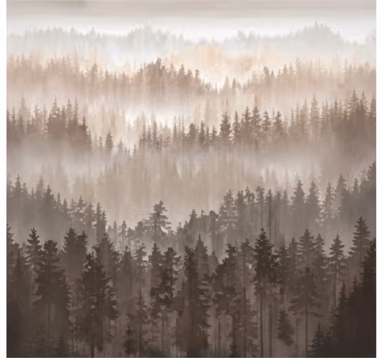 Fototapete landschaften holzschichten im wald - TenStickers