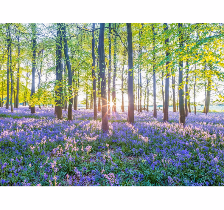 Tapete wald im modernen naturstil - TenStickers