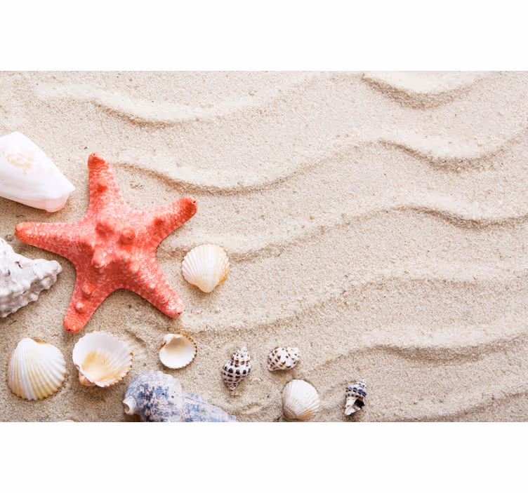 Fototapete badezimmer seesterne und muscheln im sand - TenStickers