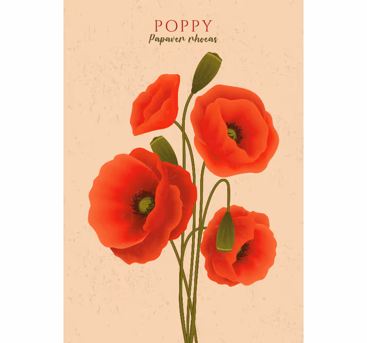 Fototapete beige mit mohnblumen - TenStickers