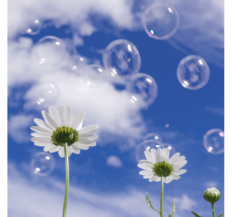 Fototapete blau gänseblümchen und blasen - TenStickers