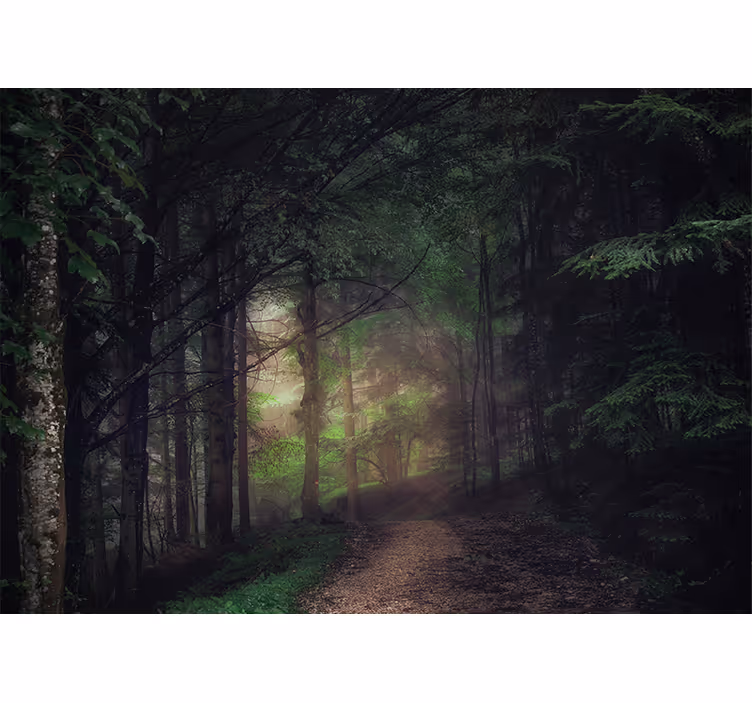 Fototapete flur urwald der alten bäume - TenStickers