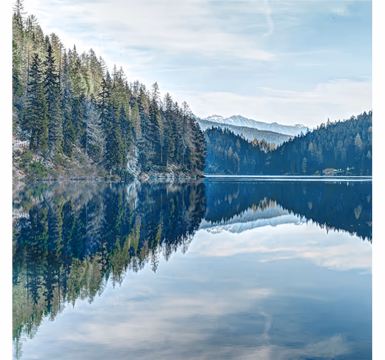 Fototapete eingang natur waldfluss - TenStickers