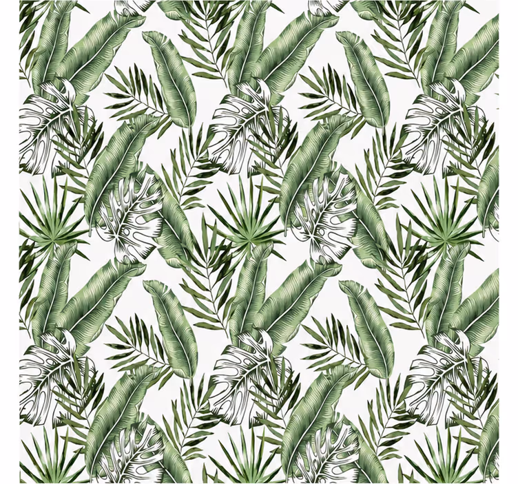 Fototapete natur mit grünen monstera-blättern - TenStickers