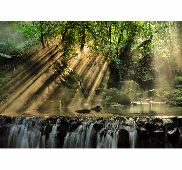 Die geheime Waldlandschaft Fototapete - TenStickers