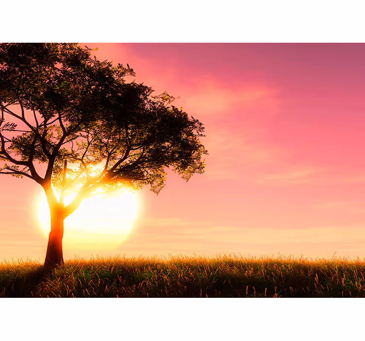 Fototapete Landschaften savanne sonnenuntergang silhouette - TenStickers