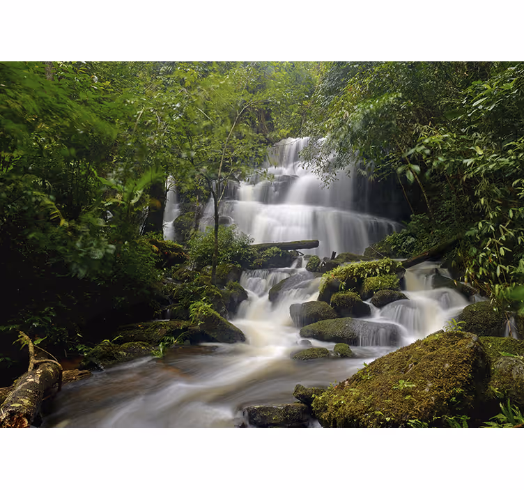 Wald und Wasserfälle Fototapete - TenStickers