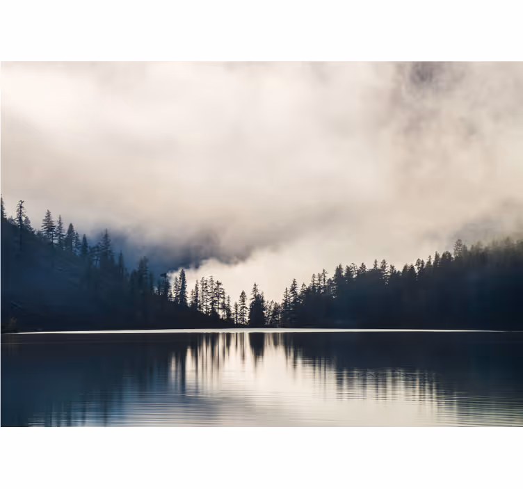 Fototapete Landschaften spiegelung im nebligen wald - TenStickers