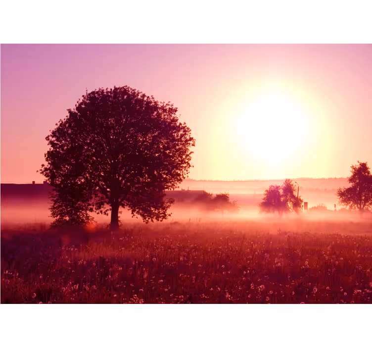 Fototapete natur silhouette baum sonnenuntergang - TenStickers