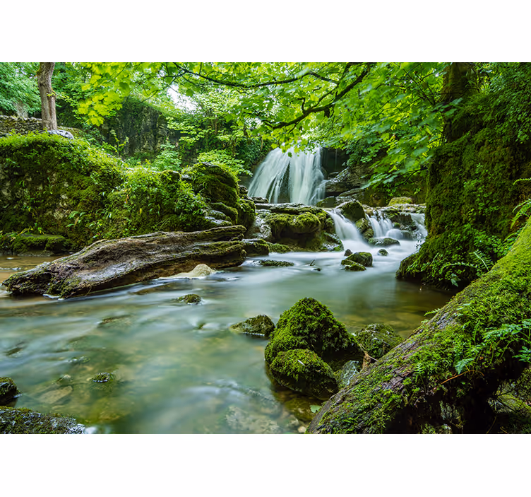 Fototapete natur ruhiger waldfluss - TenStickers