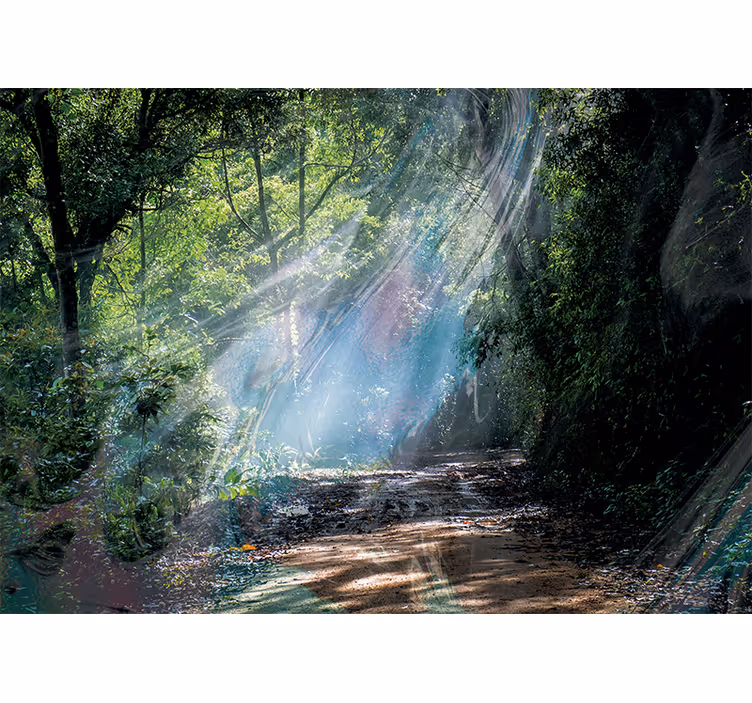 Fototapete natur strahlender waldweg - TenStickers