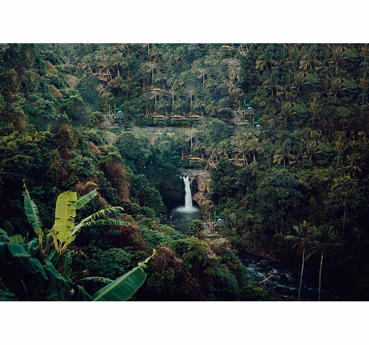 Fototapete natur wasserfall im üppigen dschungel - TenStickers