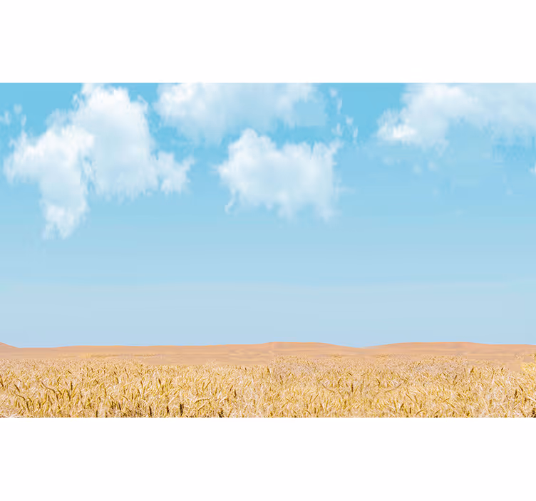 Fototapete Landschaften himmel und weizen - TenStickers