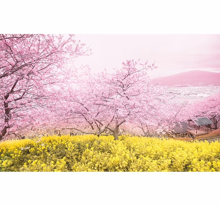 Fototapete Blumen kirschblütenruhe - TenStickers