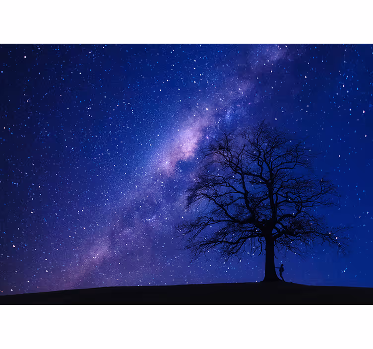 Fototapete Weltraum astrale nachtansicht - TenStickers