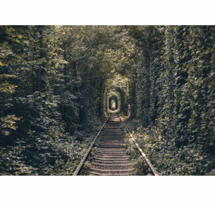 Fototapete Landschaften waldtunnelweg - TenStickers