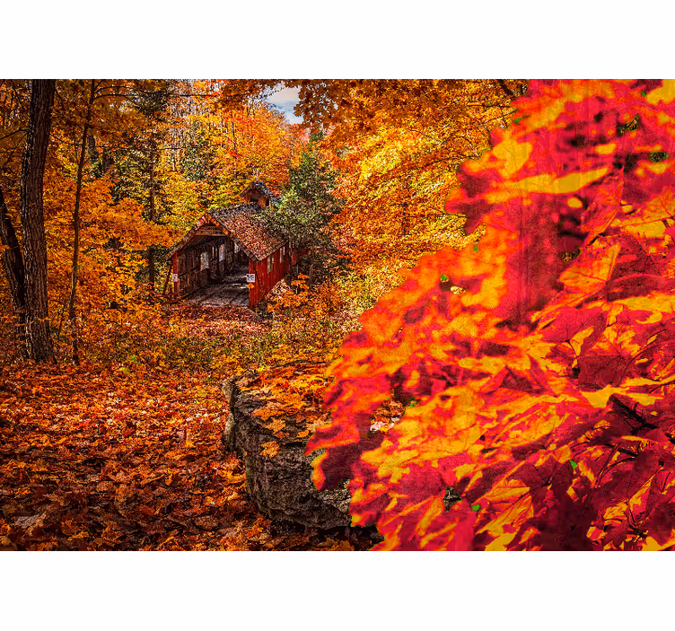 Fototapete landschaften herbst cottage landschaft - TenStickers