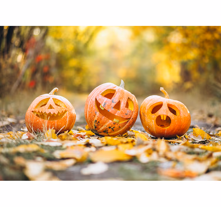 Halloween Fototapete geschnitzte kürbisgesichter - TenStickers
